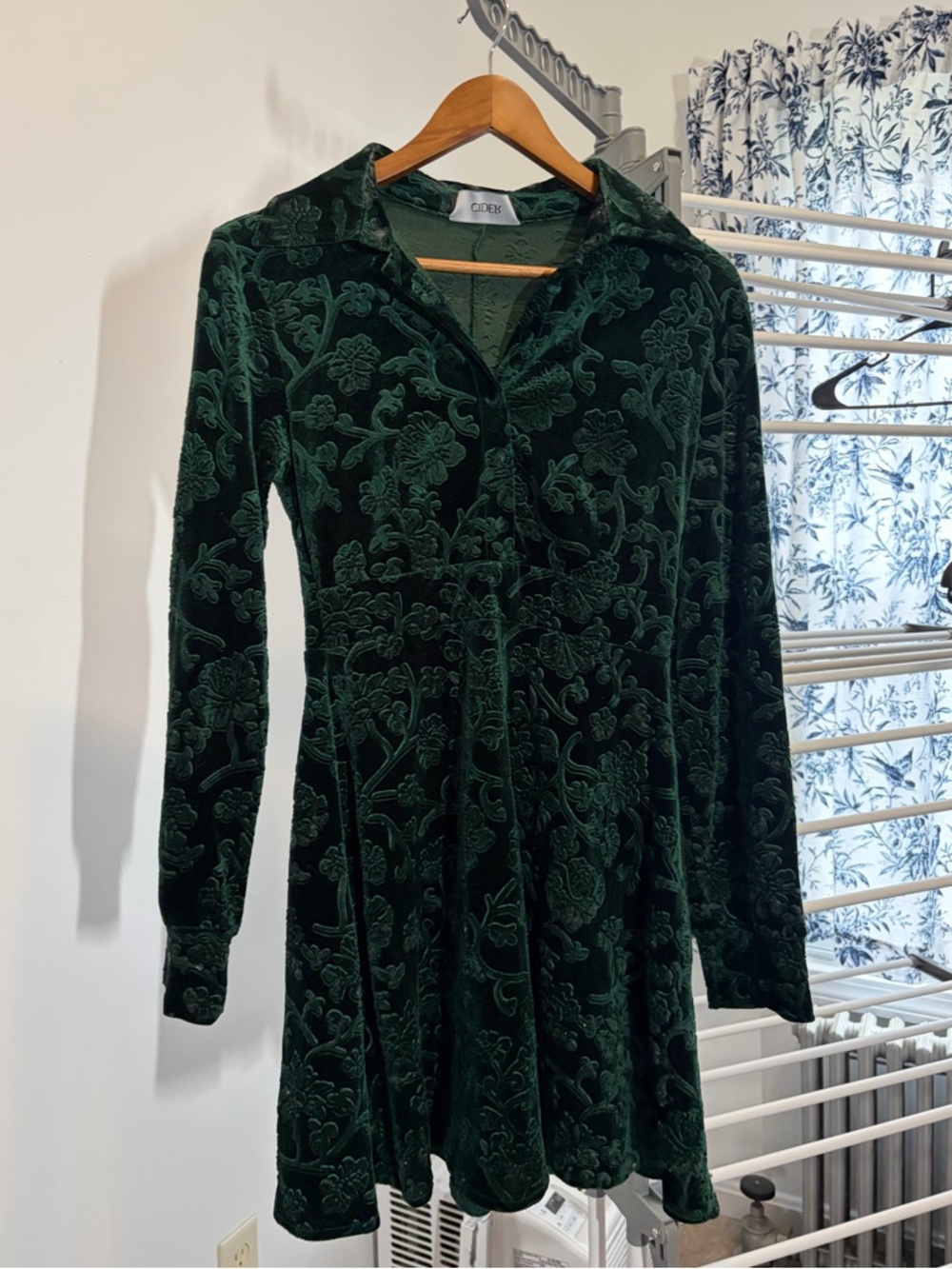 Forest Green Velvet Floral Long-Sleeve Dress